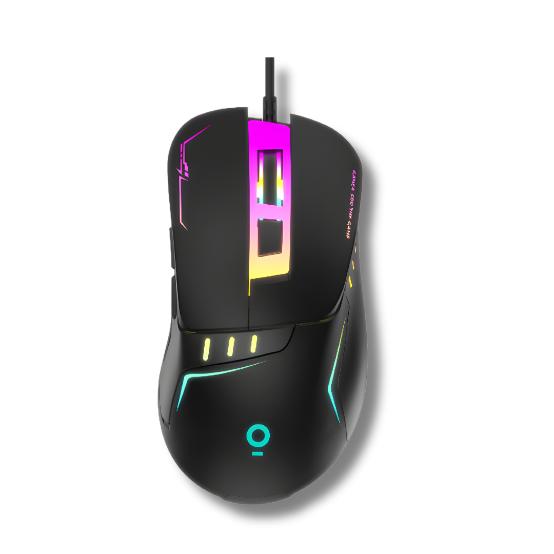 OLIKE MOUSE GM1